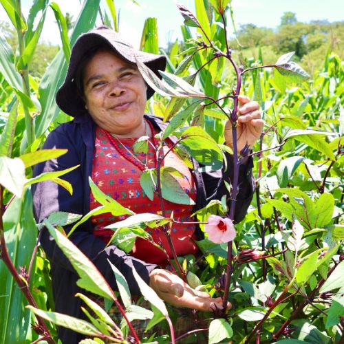 Conectando Cadenas de Valor en las Verpaces 15