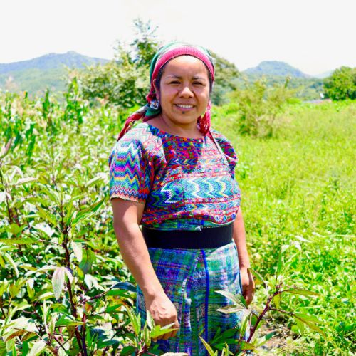 Conectando Cadenas de Valor en las Verpaces 17