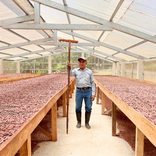 Conectando Cadenas de Valor en las Verpaces 19